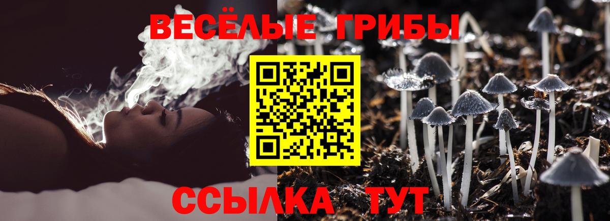 Псилоцибиновые грибы прущие грибы Заринск